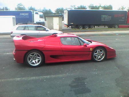 F 50